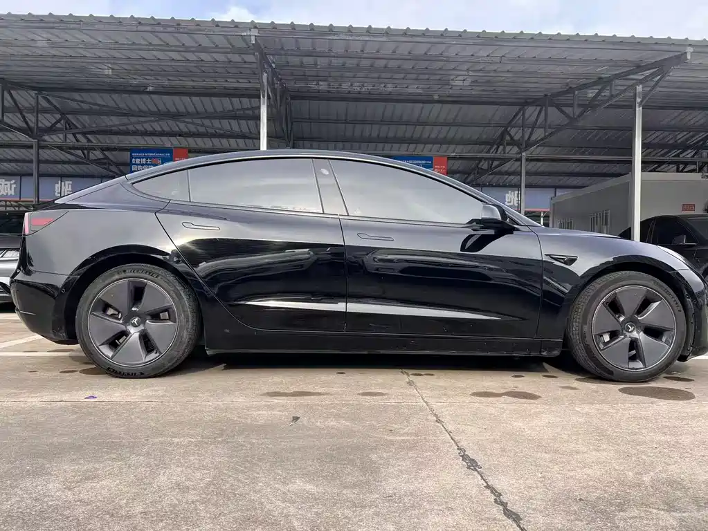 Tesla Model 3 2021 3D6