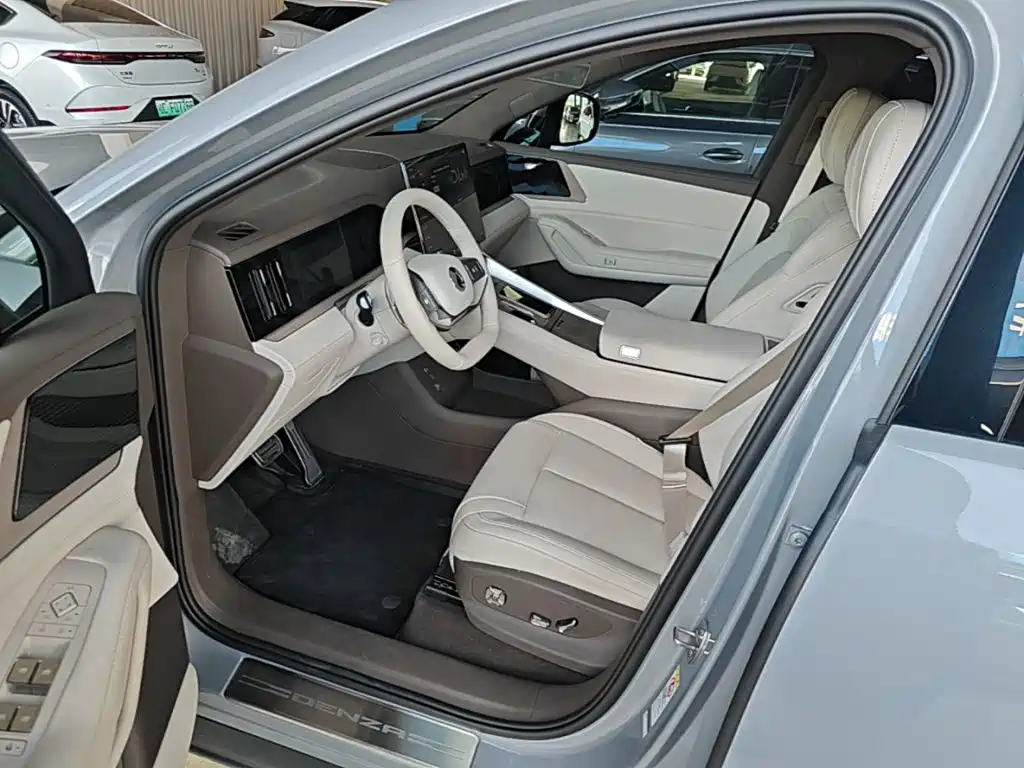 Denza Denza N8L — миниатюра 15