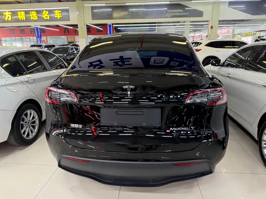 Tesla Model Y — миниатюра 5
