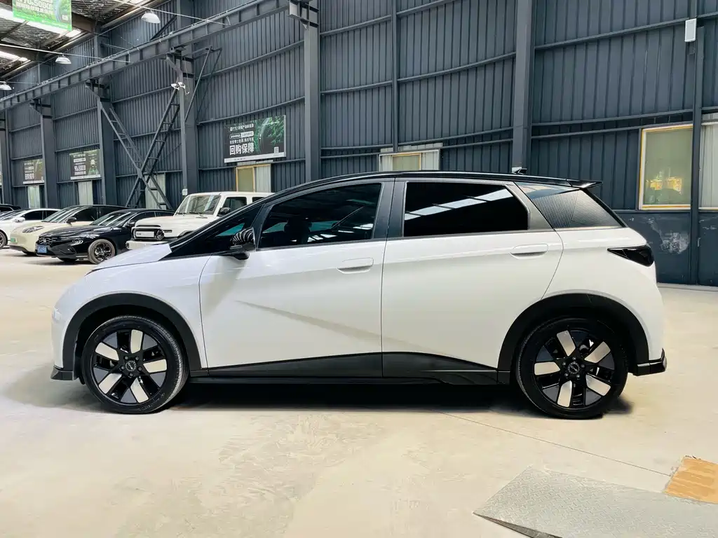 BYD Dolphin — миниатюра 5