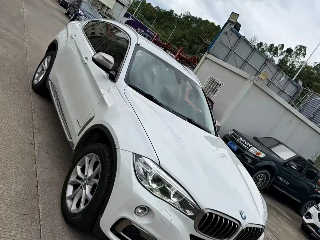 BMW X6 — миниатюра 9