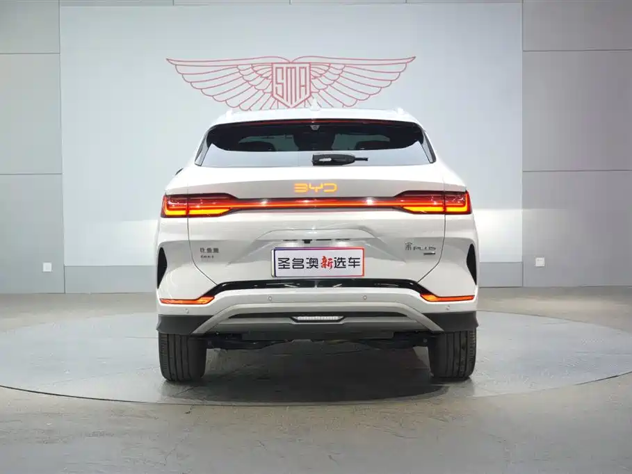 BYD SONGJIANG NEW ENERGY