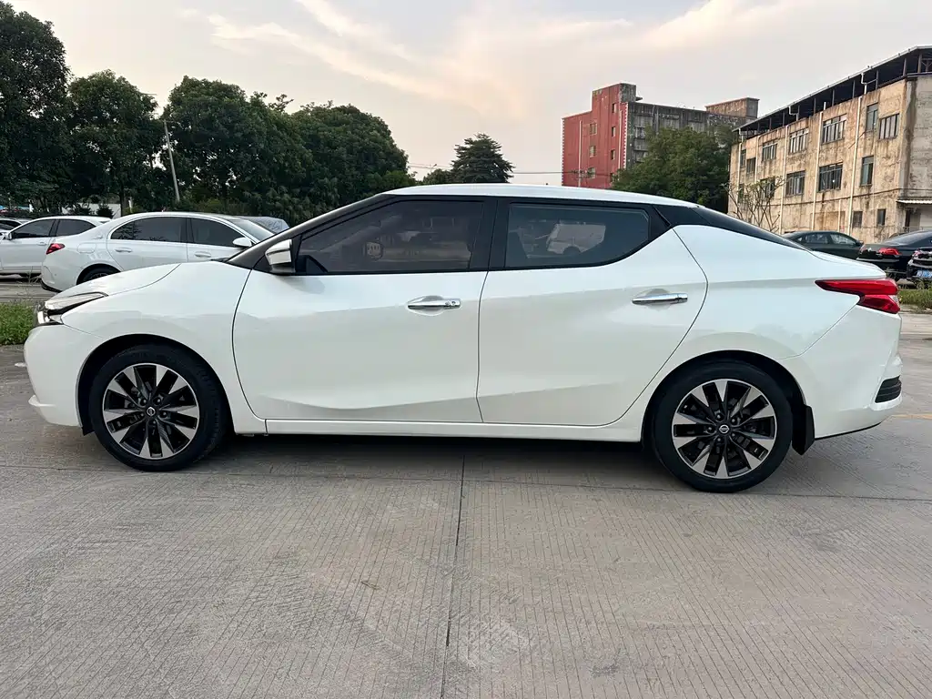 Nissan Bluebird — миниатюра 4