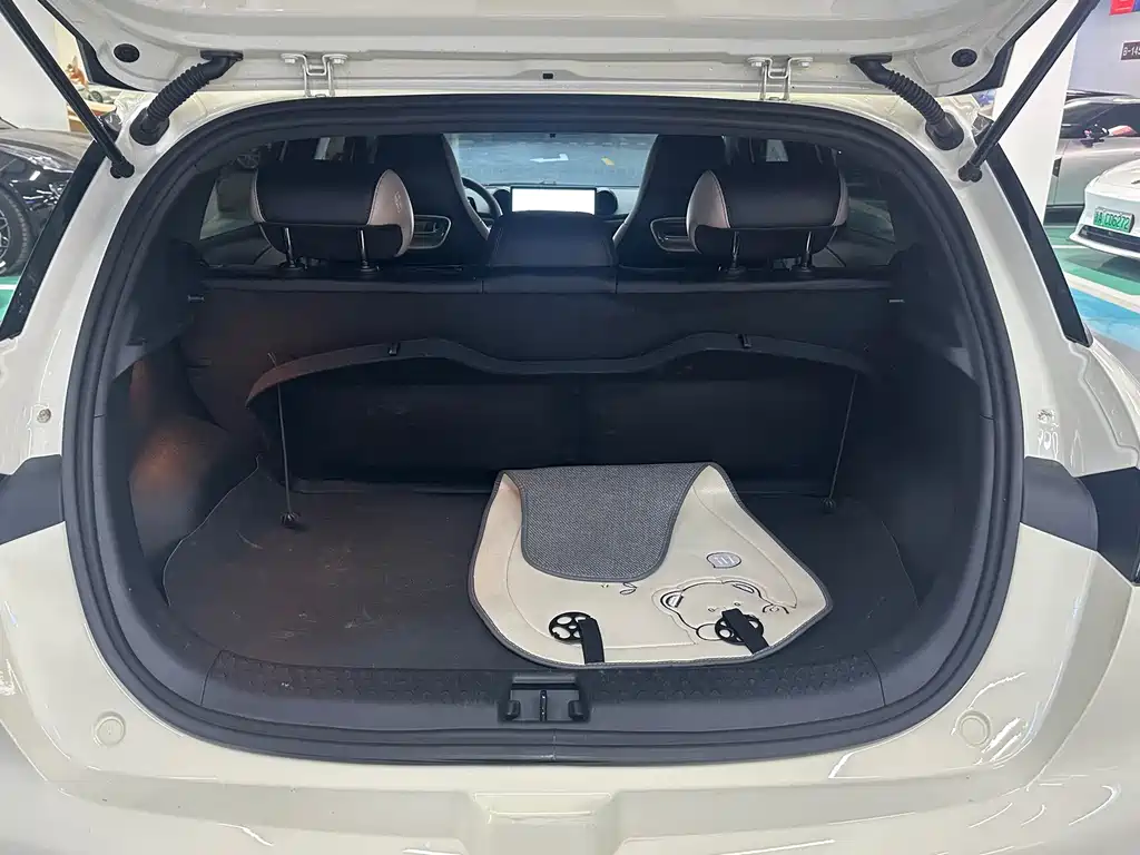 BYD Dolphin — миниатюра 12