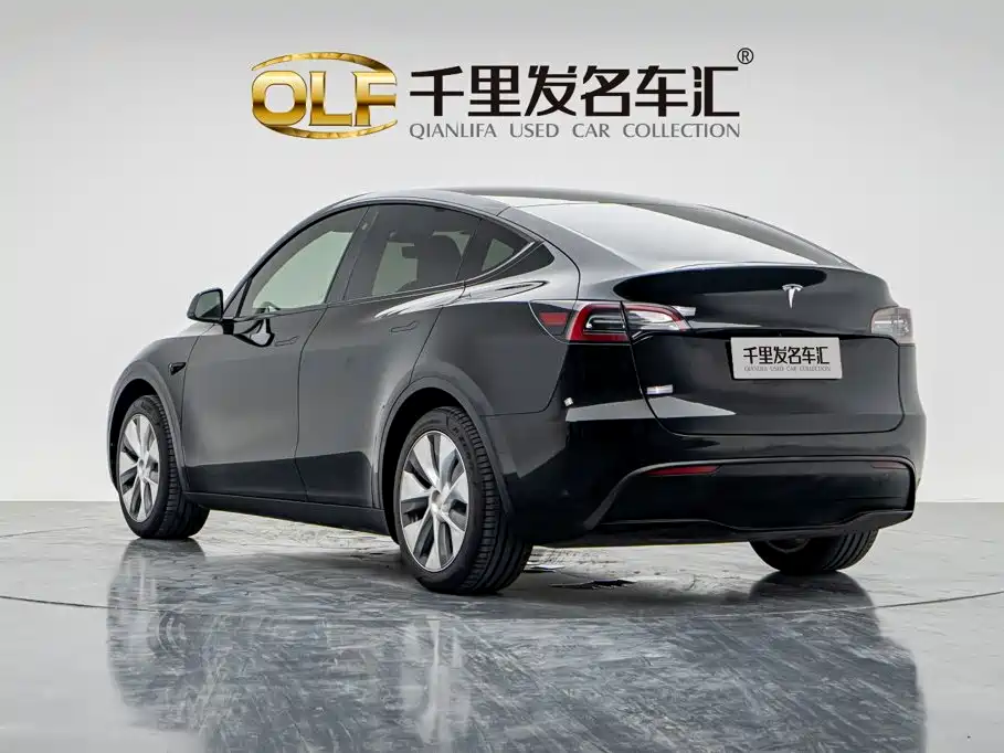 Tesla Model Y — миниатюра 8