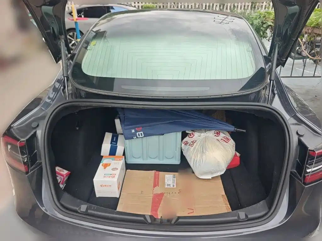 Tesla Model 3 — миниатюра 20