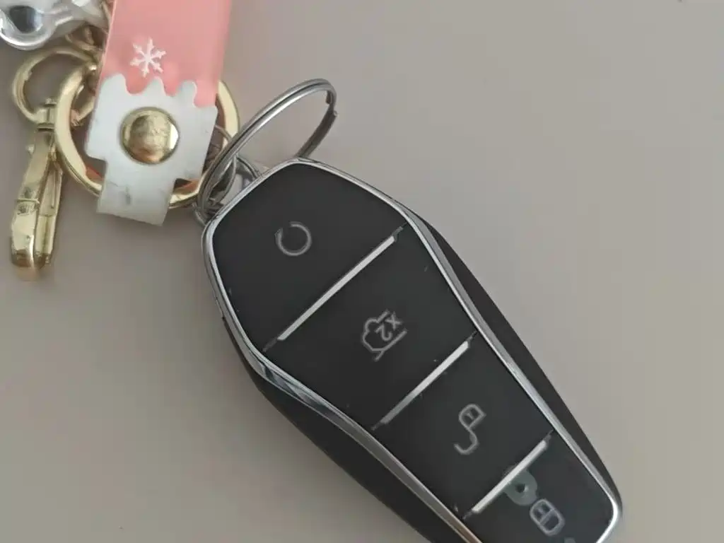 BYD PLUS New Energy — миниатюра 9