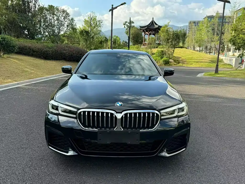 BMW 5 Series — миниатюра 2