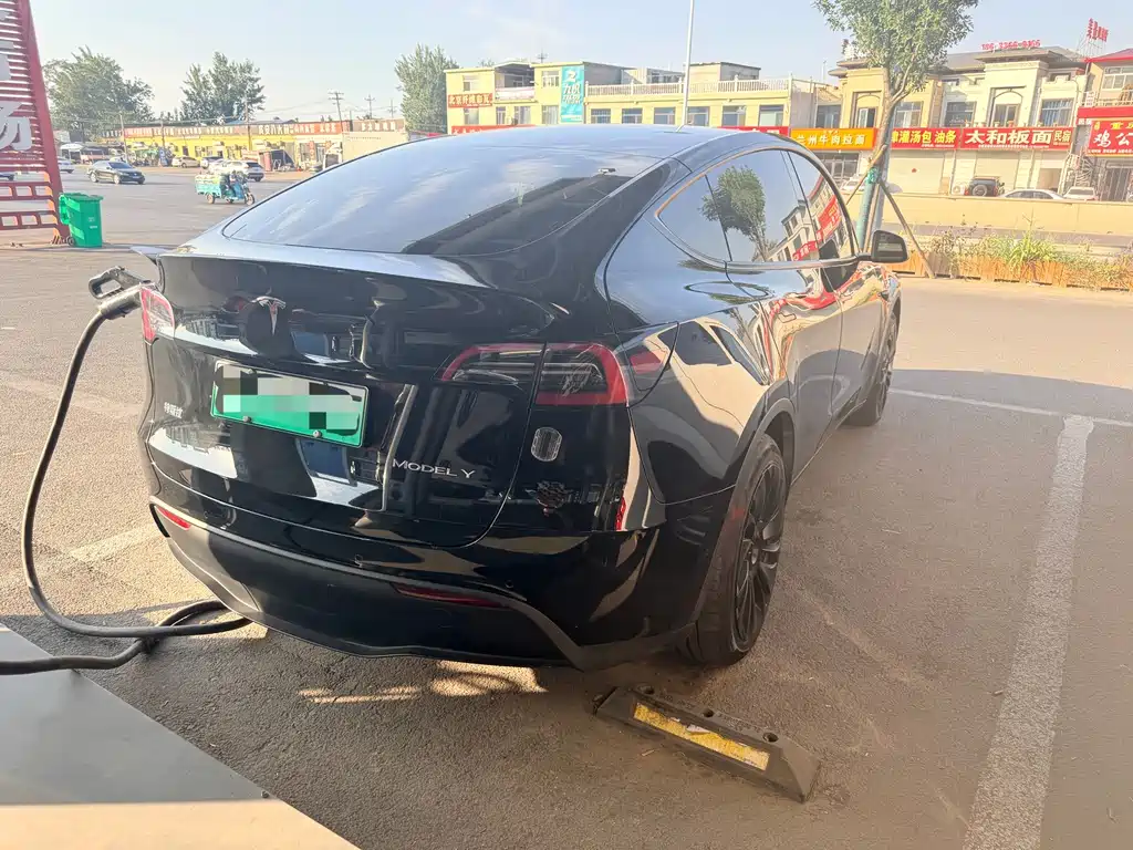Tesla Model Y — миниатюра 9