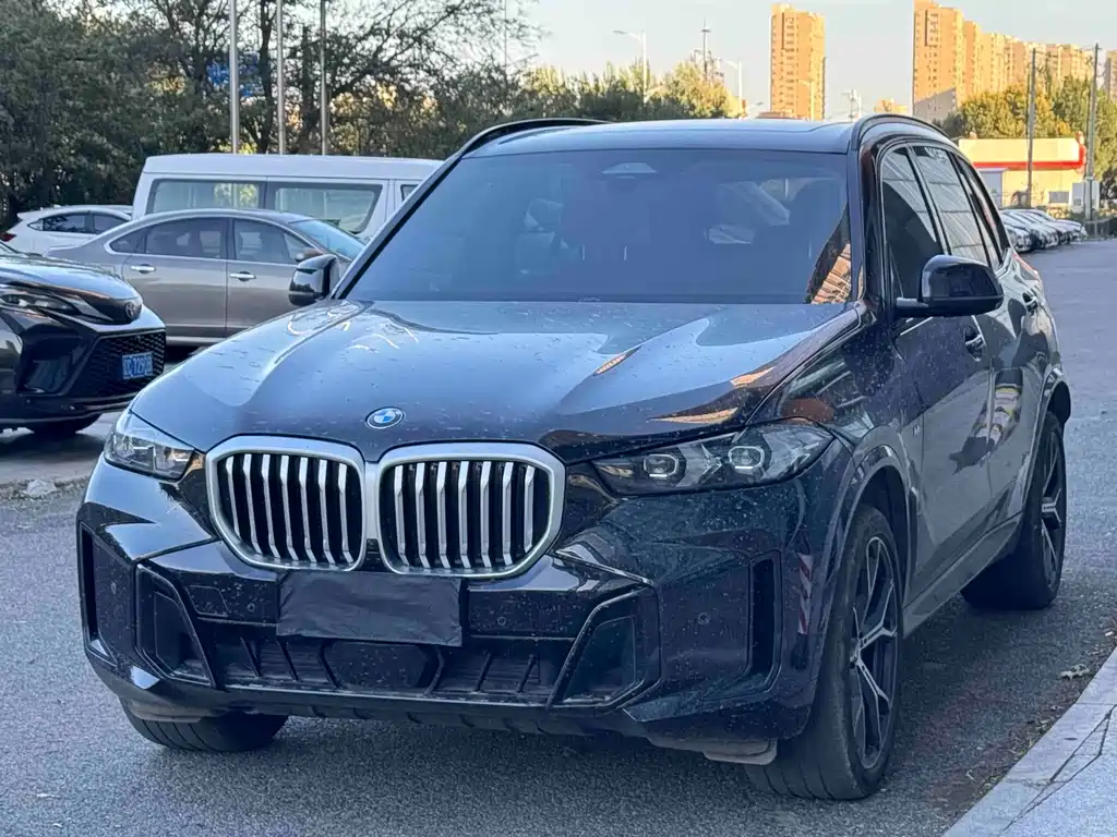 BMW X5 — миниатюра 3