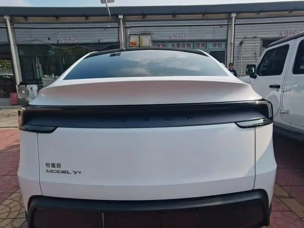 Tesla Model Y — миниатюра 8