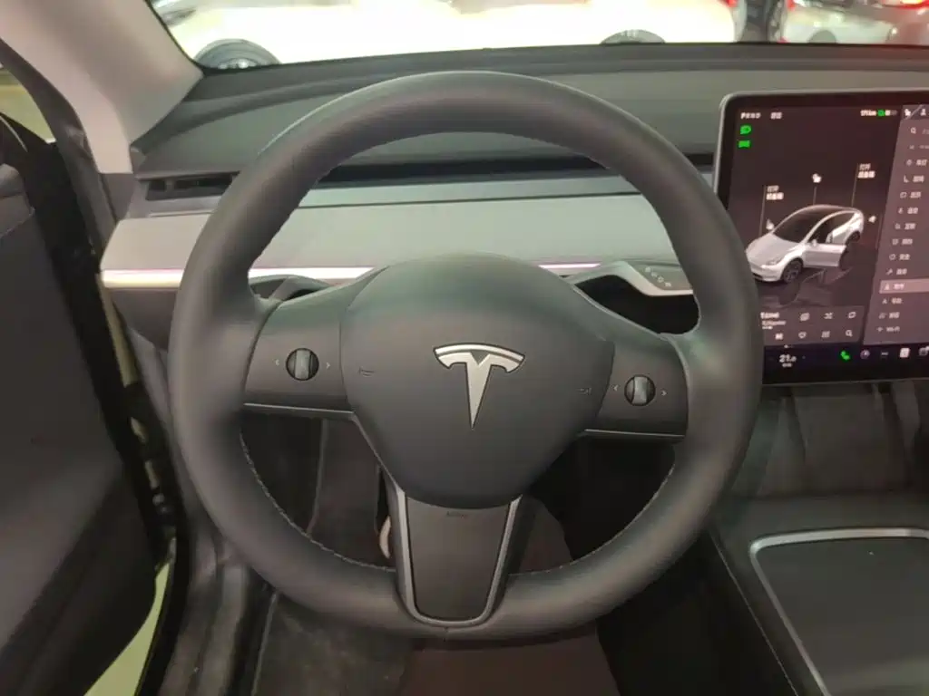 Tesla Model Y — миниатюра 11
