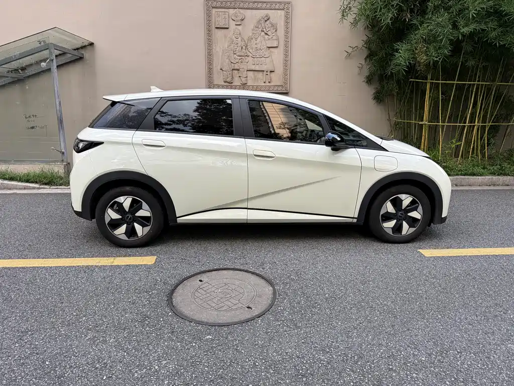 BYD Dolphin — миниатюра 15