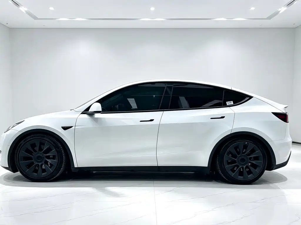 Tesla Model Y — миниатюра 4