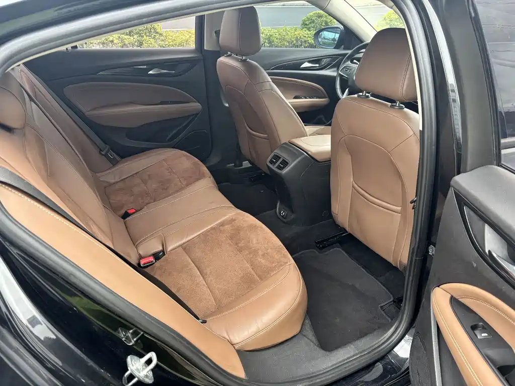 Buick Regal — миниатюра 11