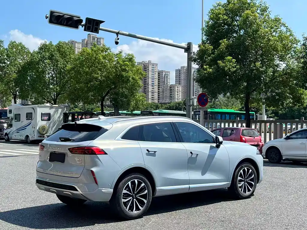 WEI PAI WEI BRAND MOCHA