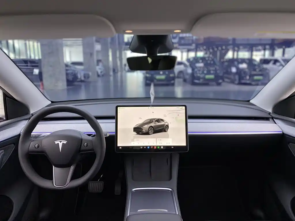 Tesla Model Y — миниатюра 14