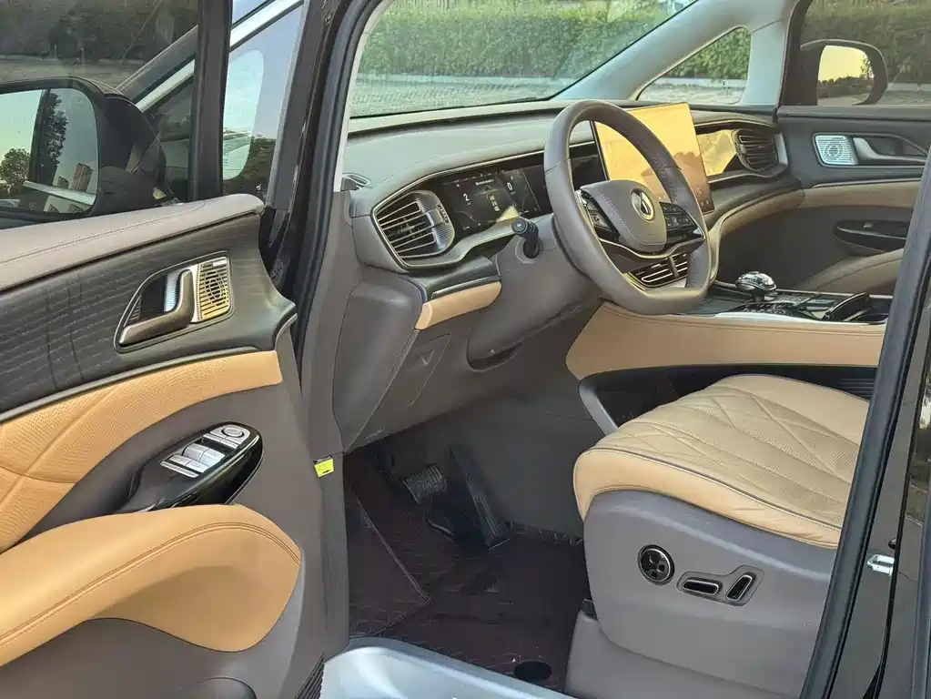 Denza Denza D9 — миниатюра 10