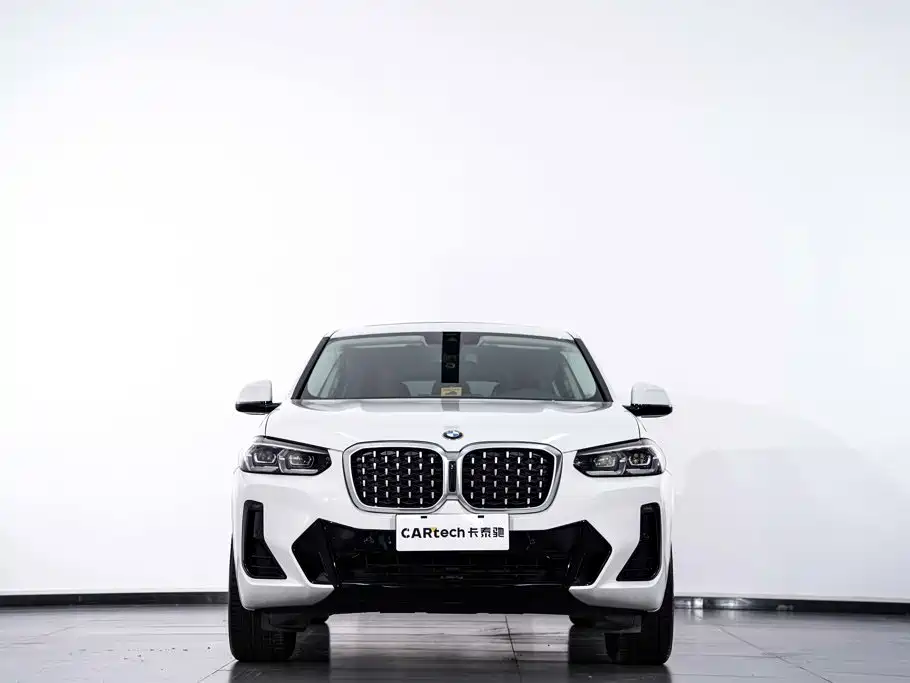 BMW X4 — миниатюра 4