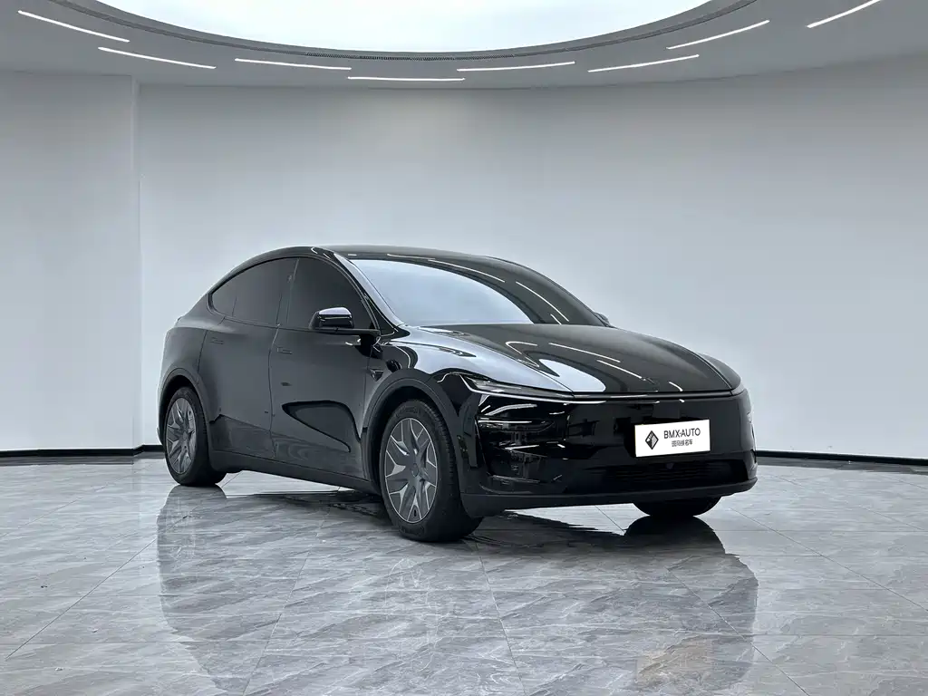 Tesla Model Y L — миниатюра 2
