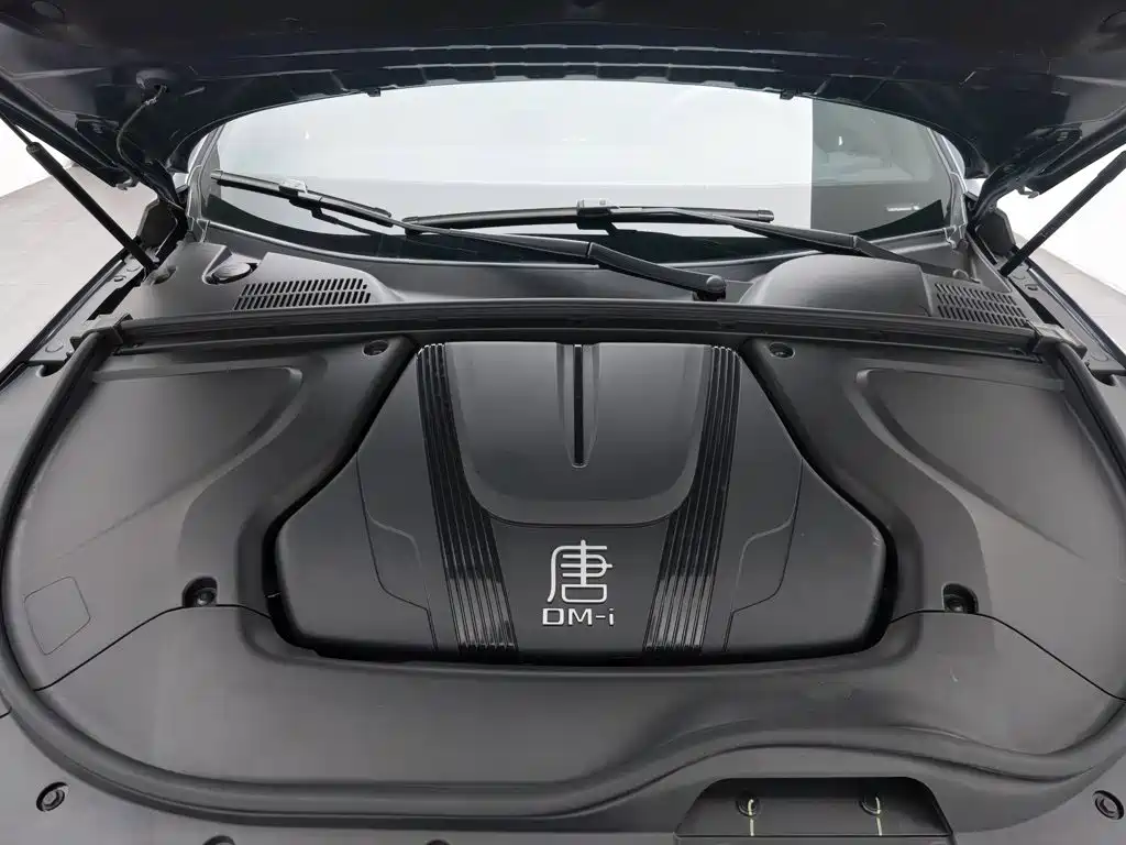 BYD Tang New Energy — миниатюра 6