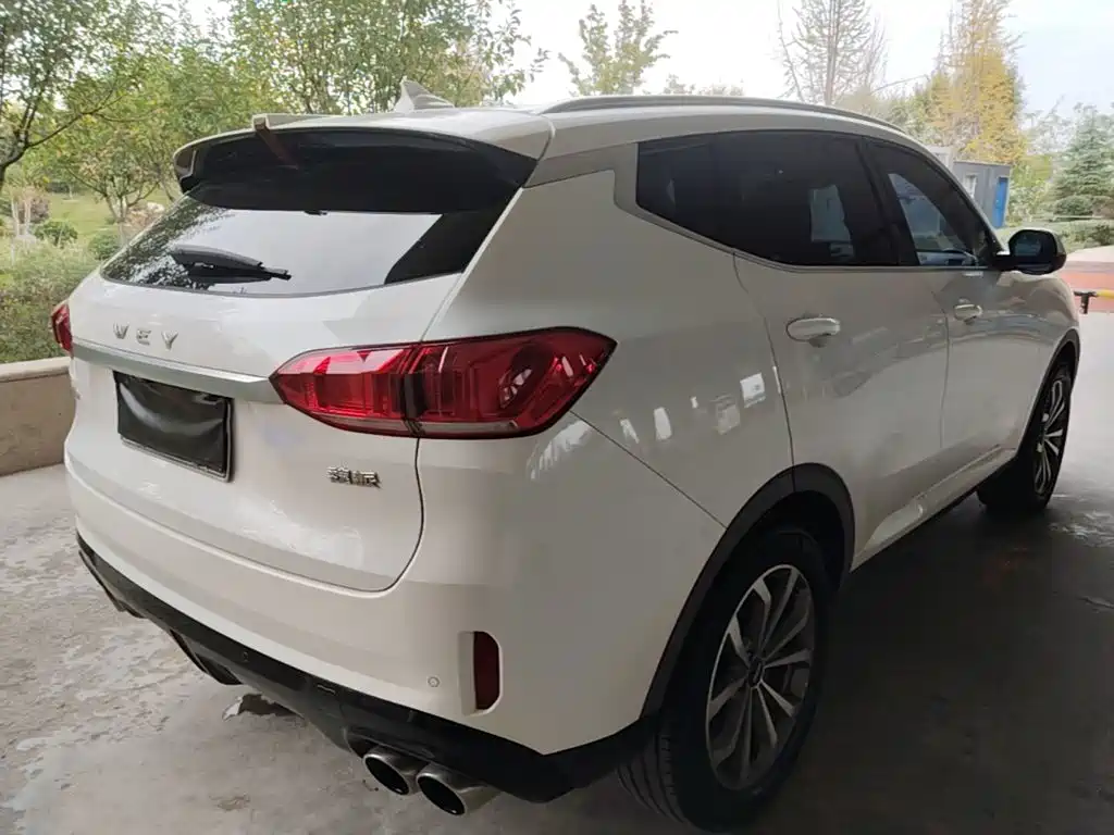 Wey Wey VV6 — миниатюра 7