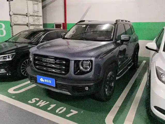 HAVAL  BIG DOG 2021
