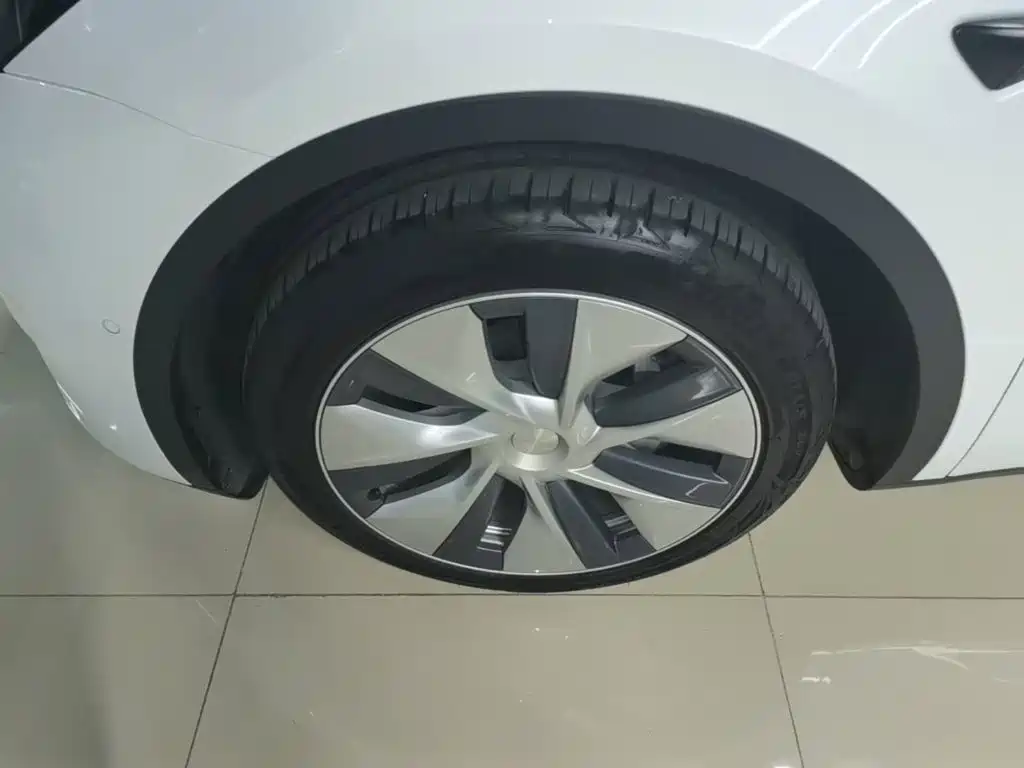 Tesla Model Y — миниатюра 23