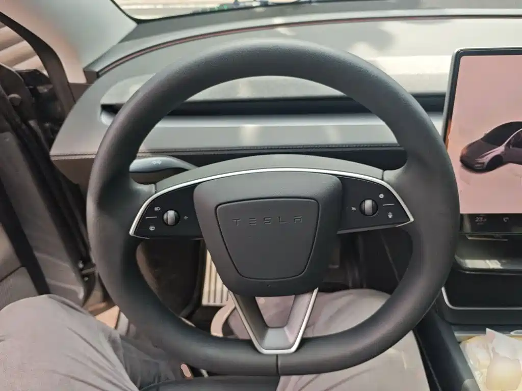 Tesla Model Y — миниатюра 6