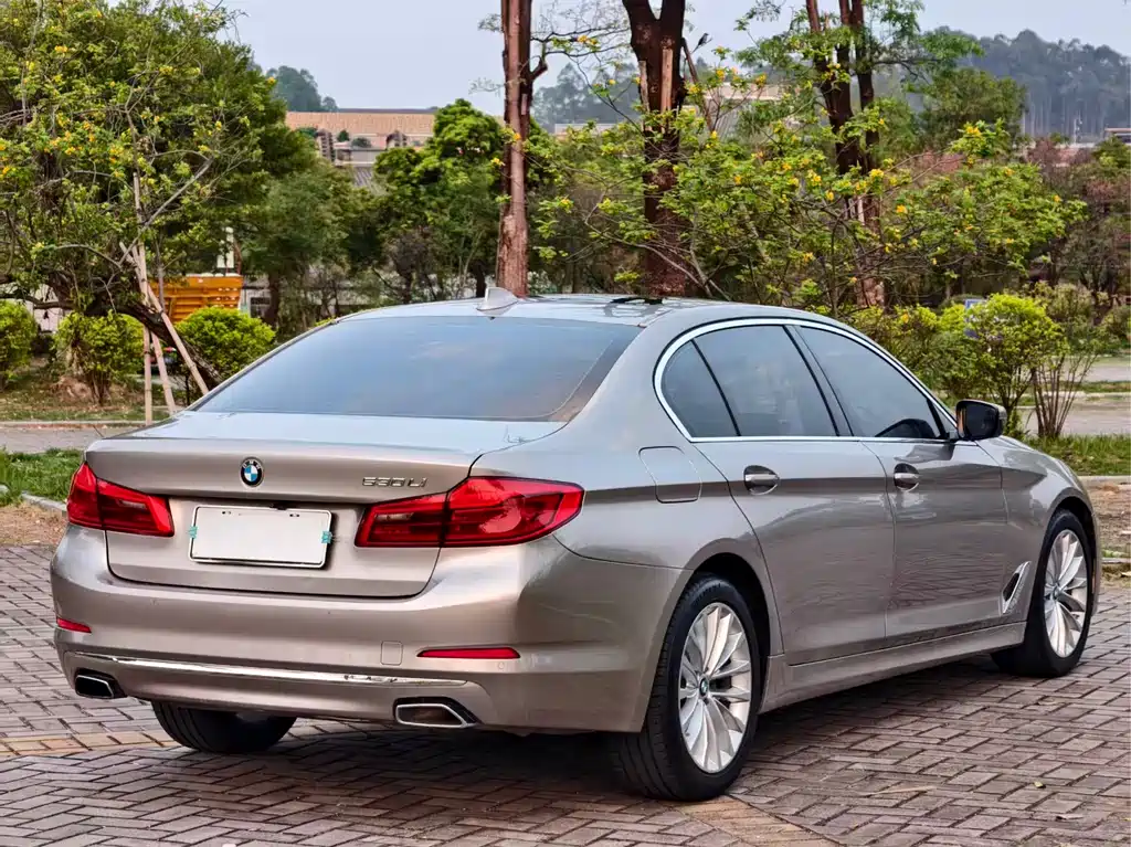BMW 5 Series 5 2020 530Li Lead Luxury