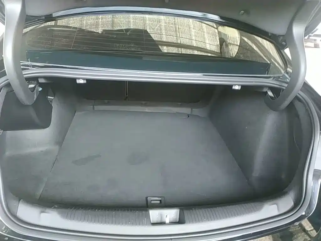 Buick Regal — миниатюра 19