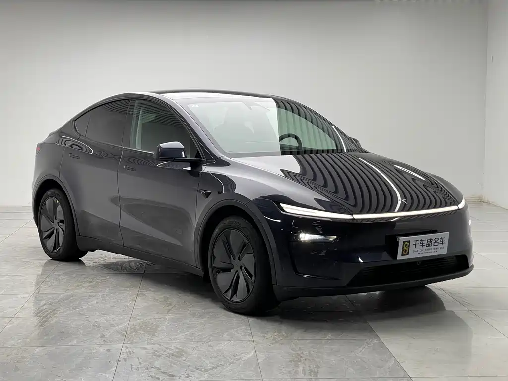 Tesla Model Y — миниатюра 3