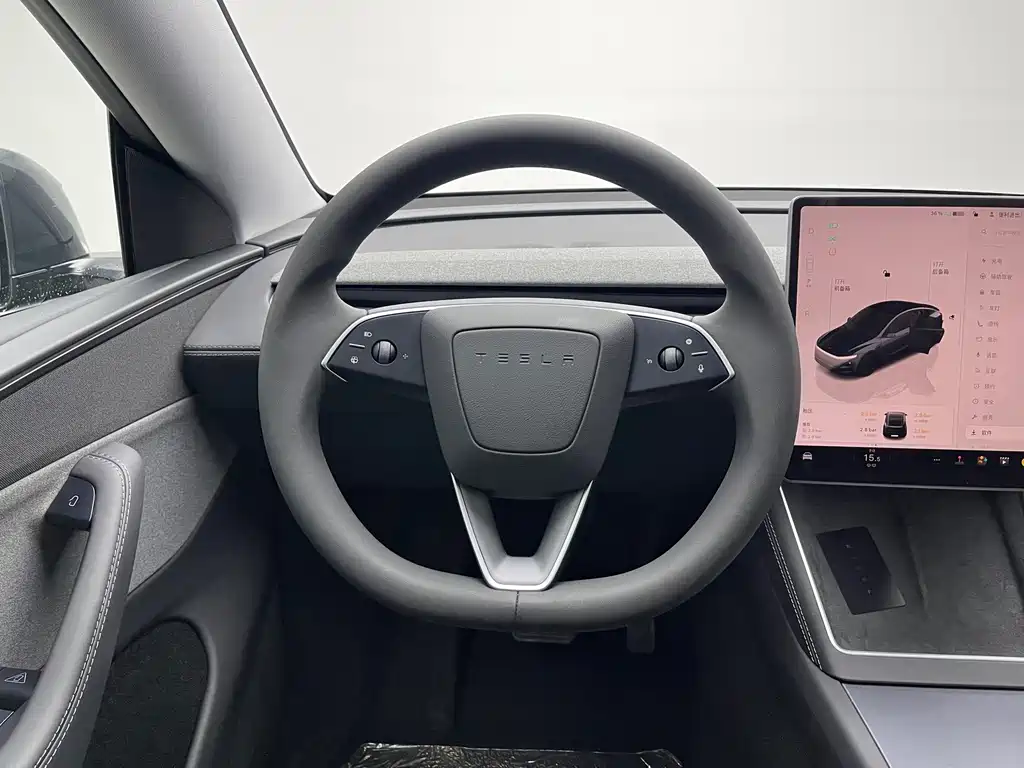 Tesla Model Y — миниатюра 12