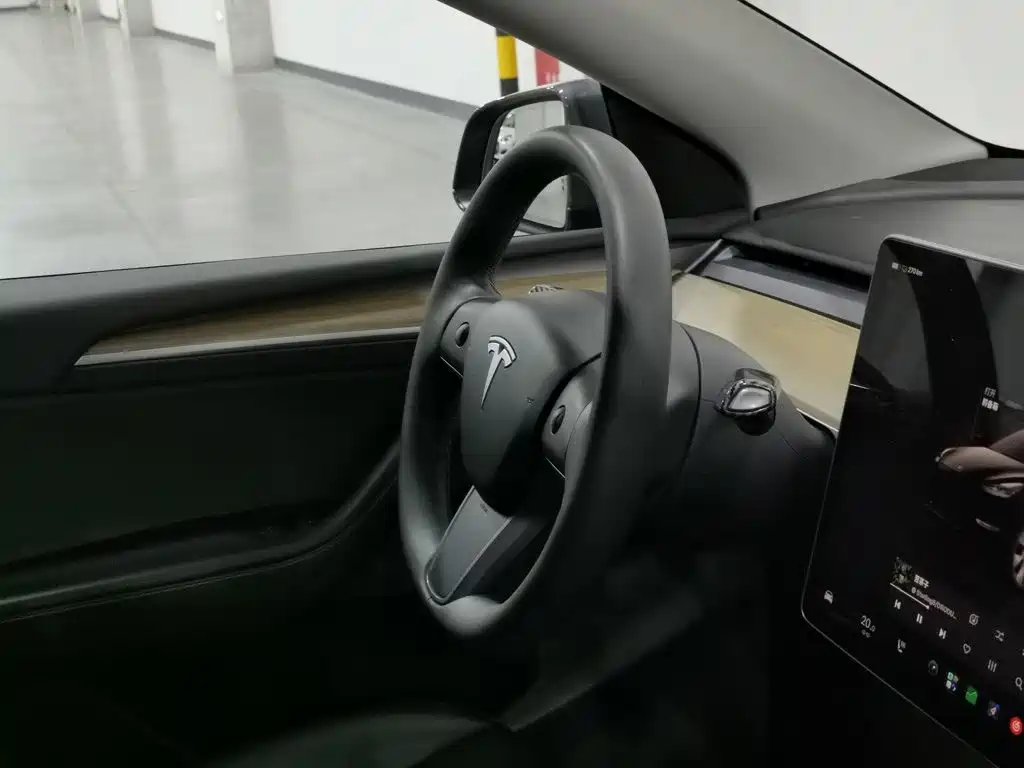 Tesla Model Y — миниатюра 22