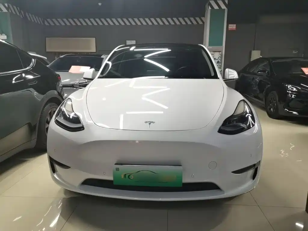 Tesla Model Y — миниатюра 3