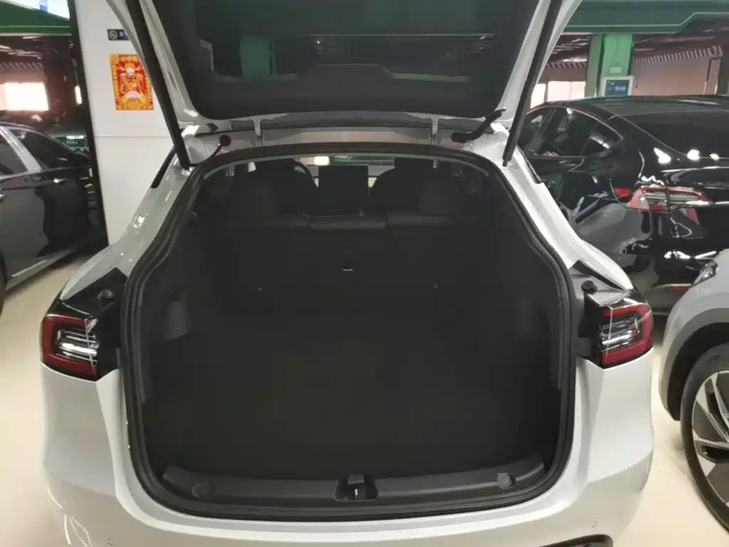 Tesla Model Y — миниатюра 19