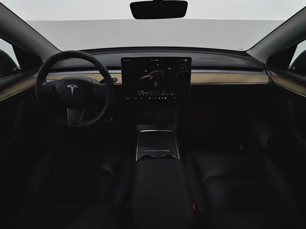 Tesla Model Y — миниатюра 5