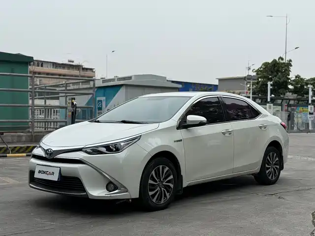 TOYOTA LEI LING 2018