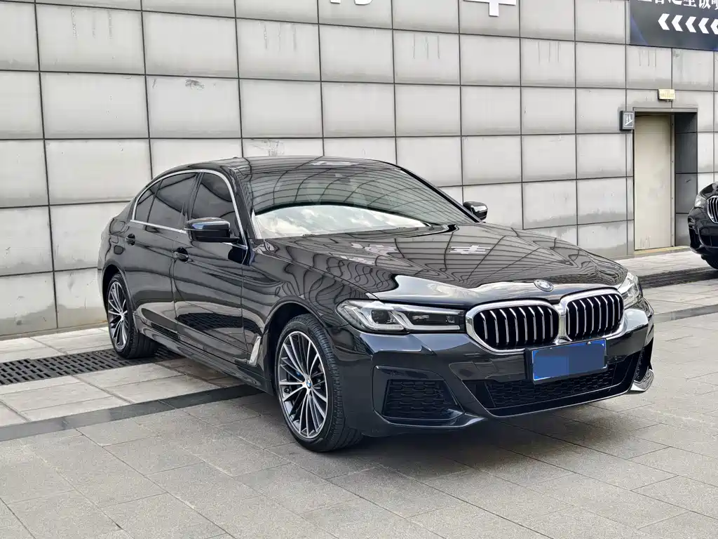 BMW 5 Series — миниатюра 3