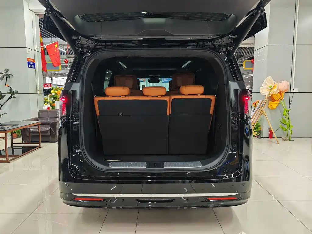 Buick Electra Encasa — миниатюра 13