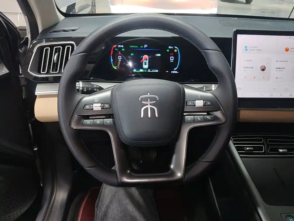 BYD Pro New Energy — миниатюра 11