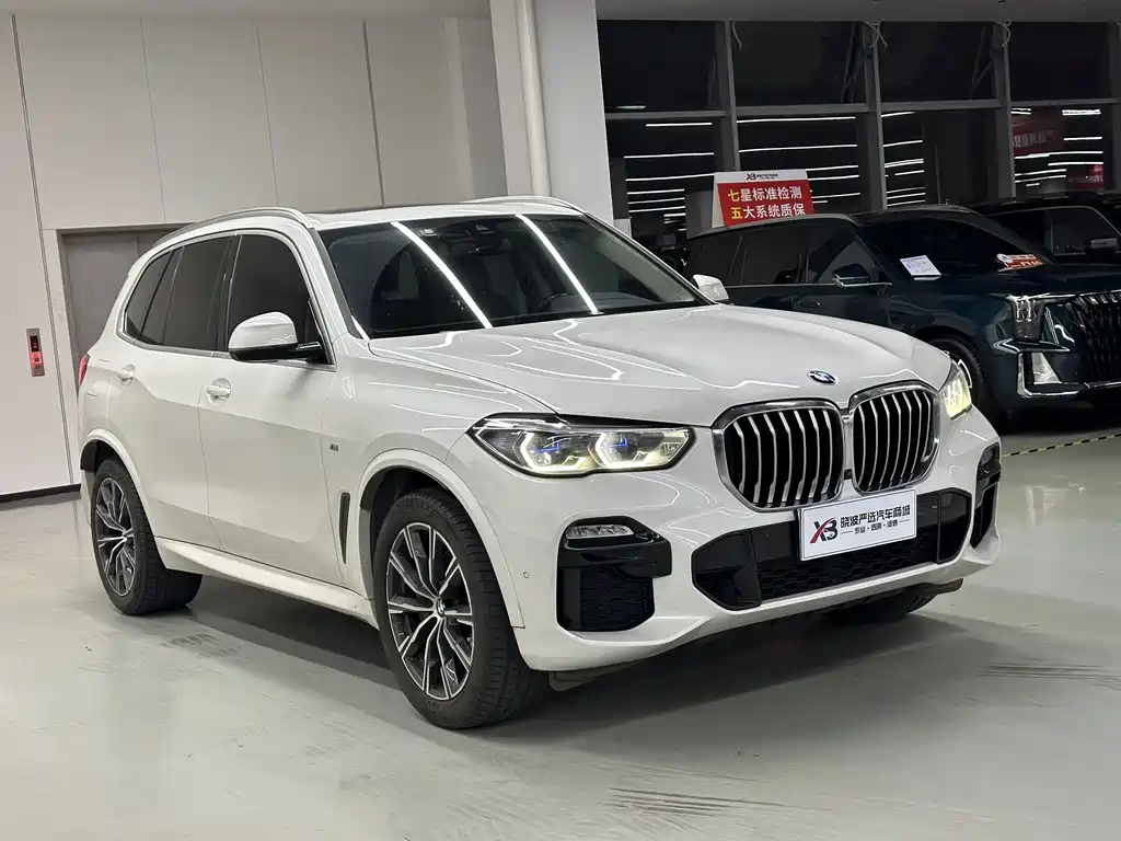 BMW X5 (Import) — миниатюра 2