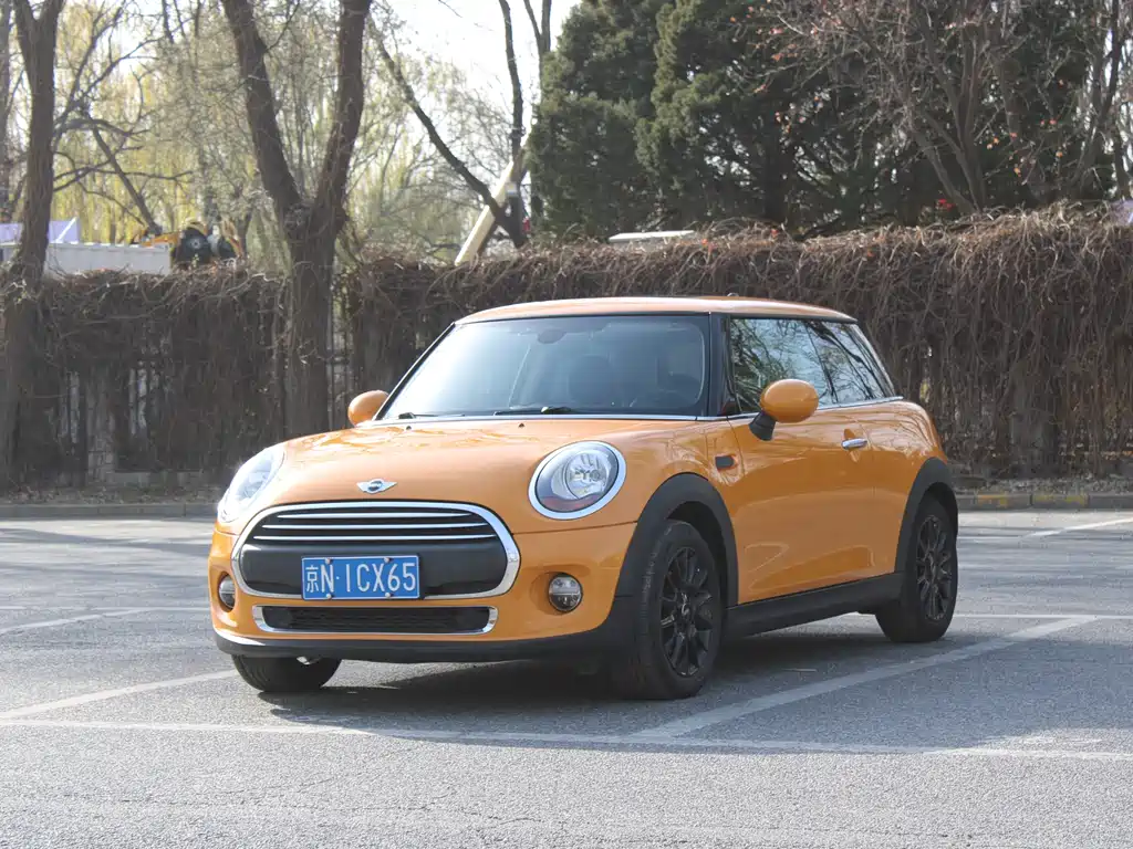 Mini Mini 2015