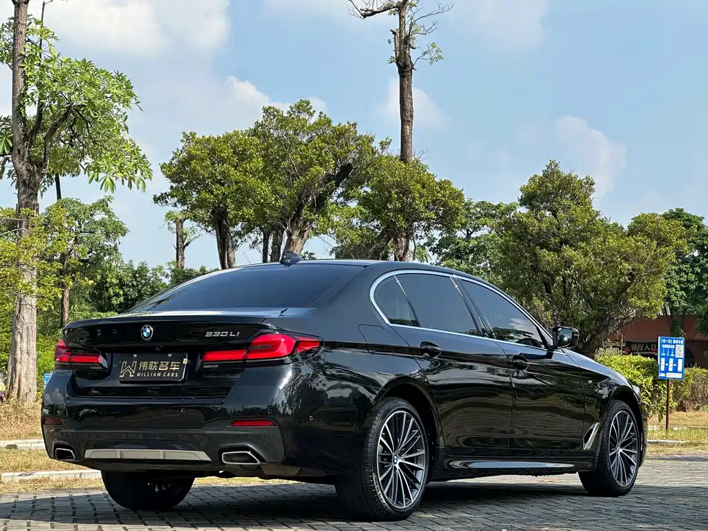 BMW 5 Series — миниатюра 6