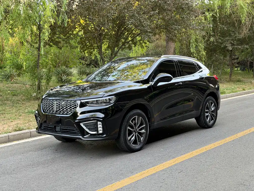 Wey Wey VV5 2021