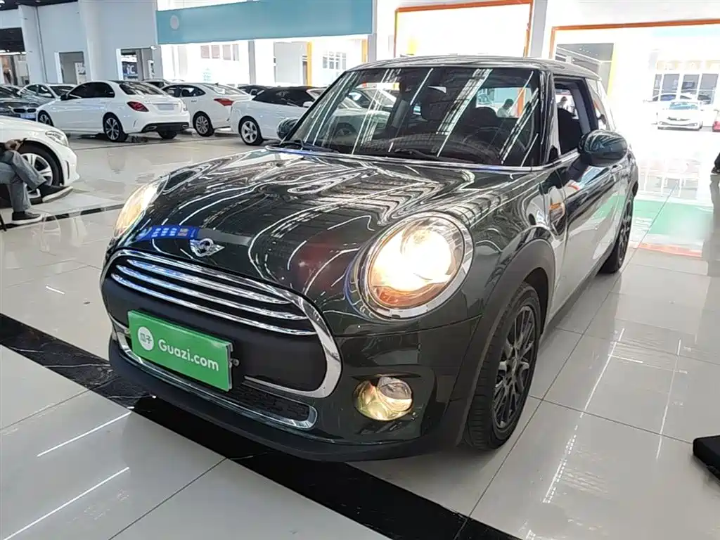 Mini Mini 2017