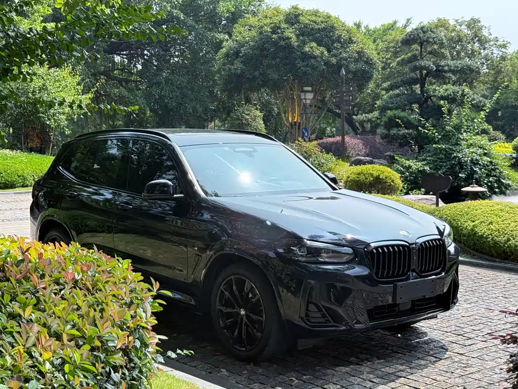 BMW X3 — миниатюра 3