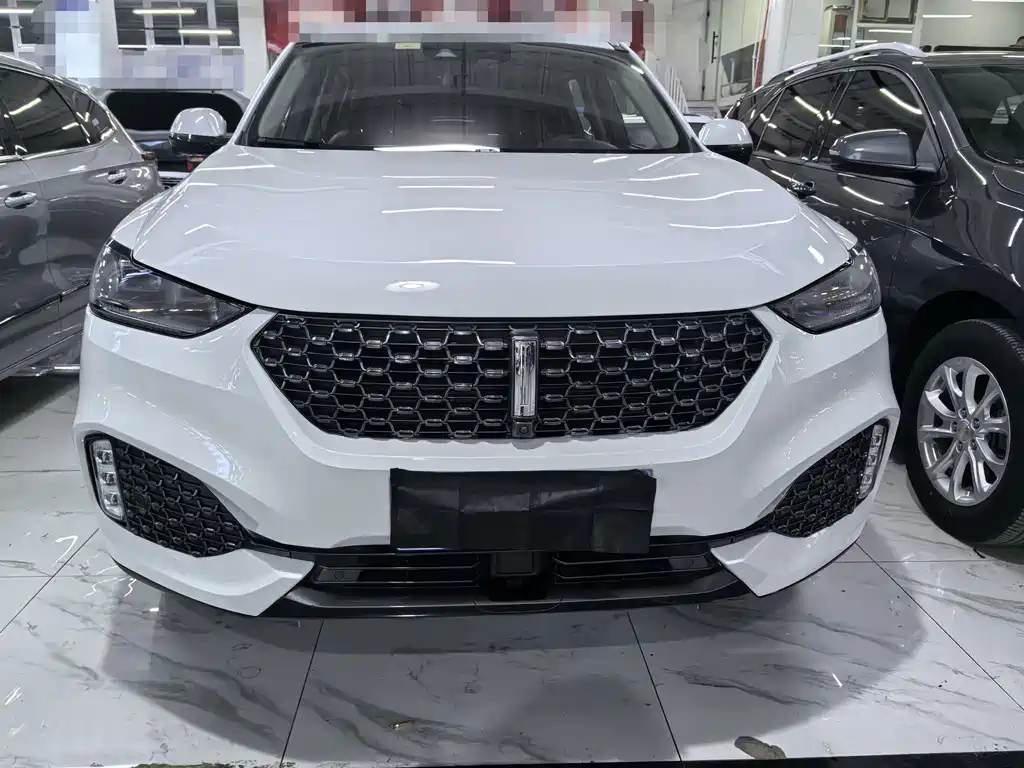 WEI PAI WEI BRAND VV6