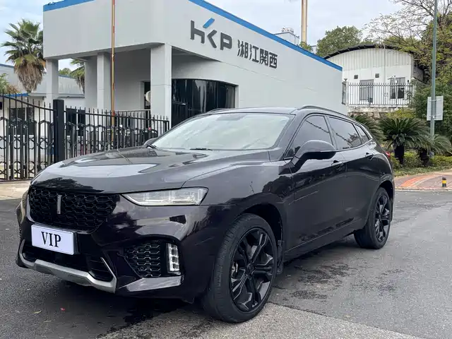 wei-pai wei-brand-vv7