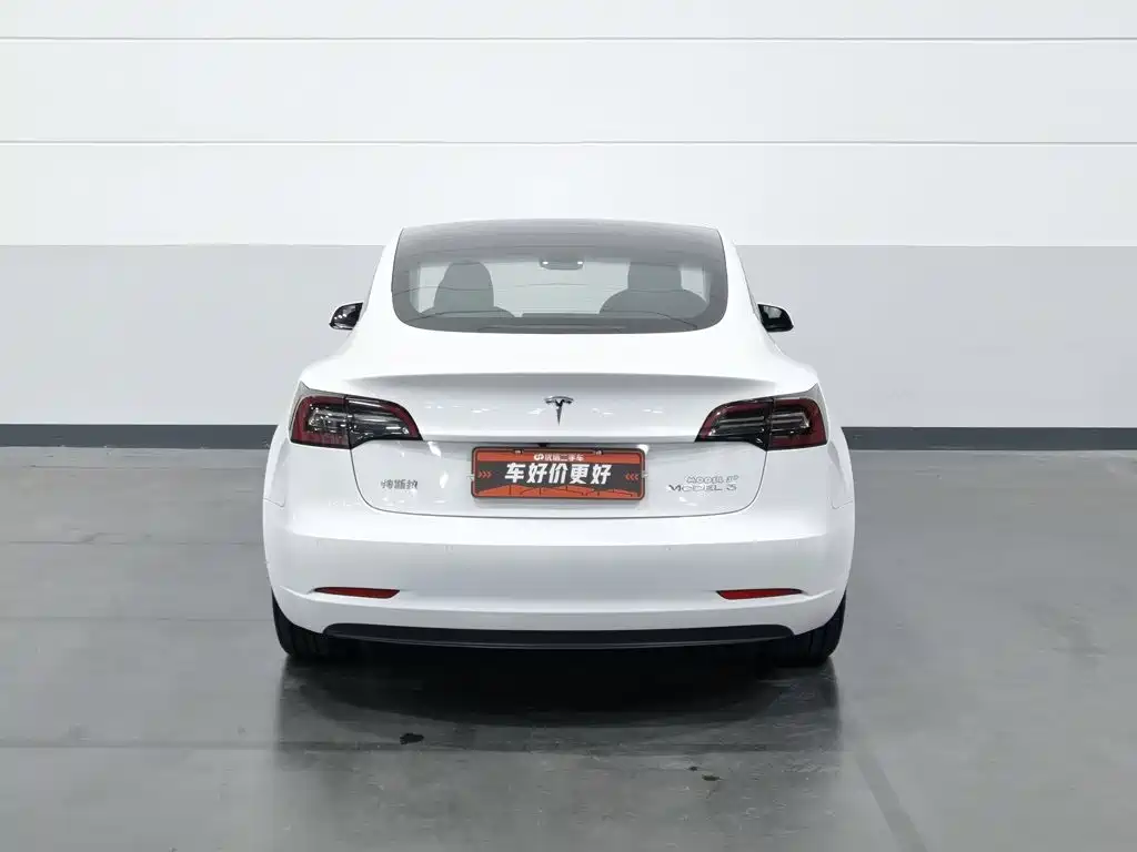 Tesla Model 3 — миниатюра 4
